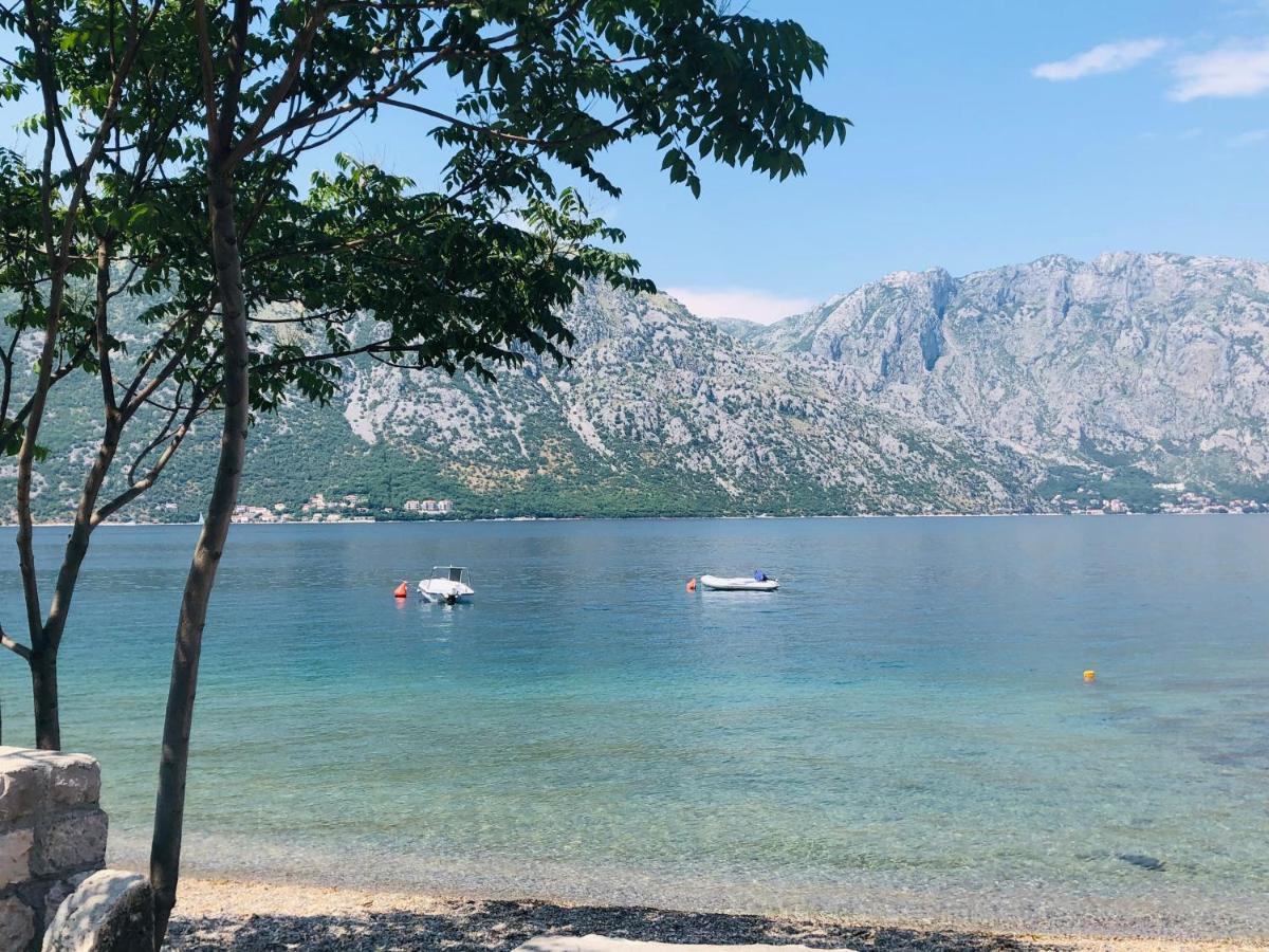 Villa Milami Kotor Buitenkant foto