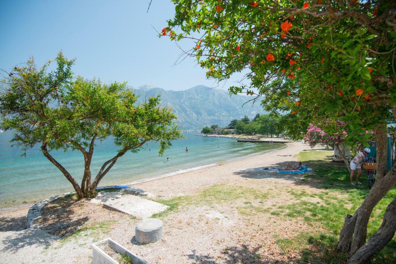 Villa Milami Kotor Buitenkant foto